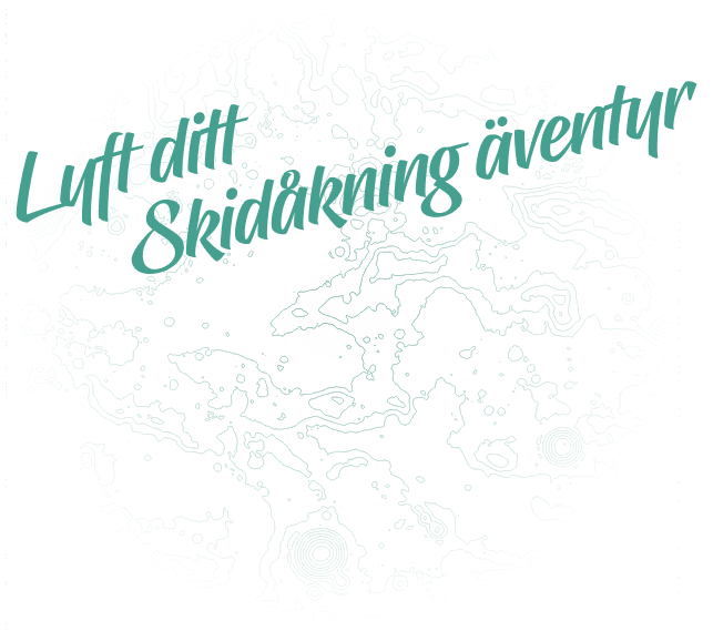 statis-section-title